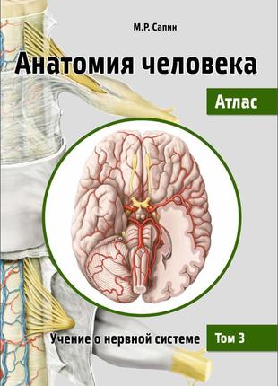 Анатомія людини. атлас. том 3. віріння про нервову систему. михайло сапин