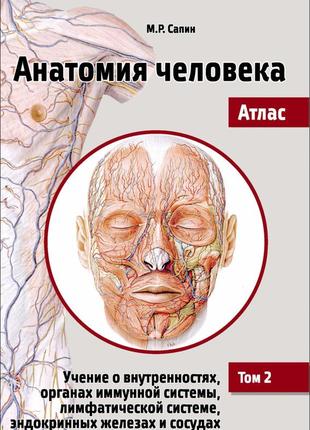 Анатомія людини. атлас. навчальний посібник. том 2. навчання про внутрішню... михайло сапин