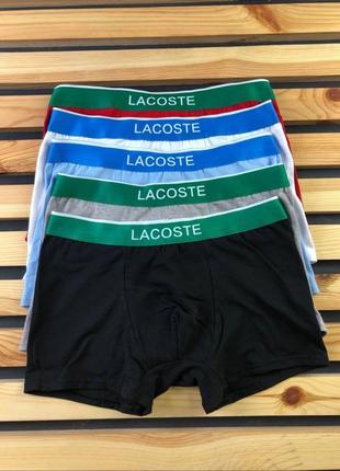 Мужской набор белья 📌lacoste  название - lacoste classic + носки6 фото