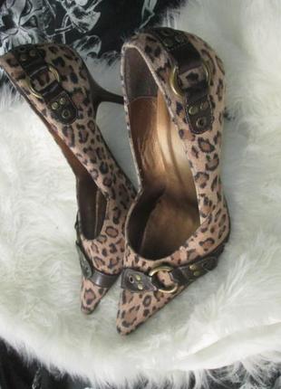 Туфли на каблуке с острым носом леопард