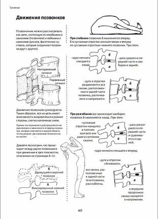 Анатомия движения: человеческое тело| бландин кале-жермен6 фото