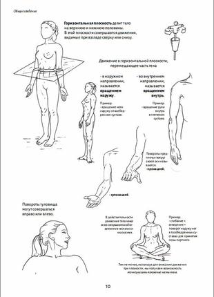 Анатомия движения: человеческое тело| бландин кале-жермен4 фото