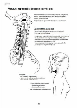 Анатомия движения: человеческое тело| бландин кале-жермен7 фото
