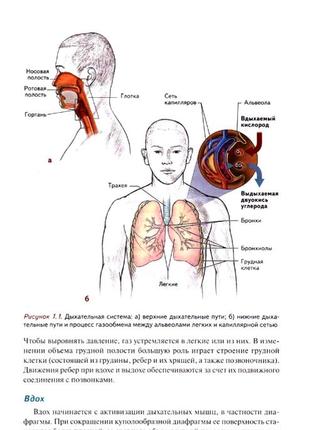 Анатомія пілатесу. ілюстроване керівництво. раель ісаковиць4 фото