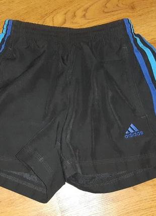 Шорти adidas1 фото