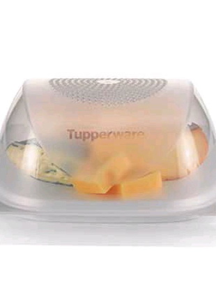 Розумна сирниця мала tupperware