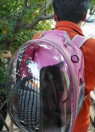 Рюкзак переноска с расширением pet cat для домашних животных (кошек, собак, кроликов, птиц) ( код: ibh007p )8 фото