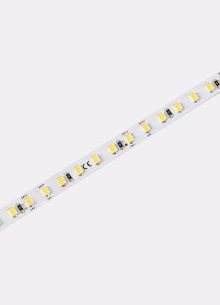 Led лента (dj120-24v-8mm-sw,ww,nw,w)1 фото