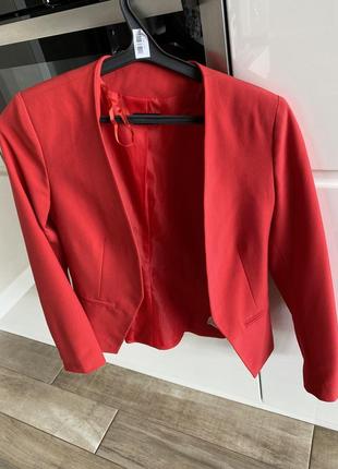 Піджак calliope