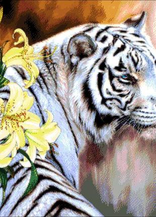 Набор для вышивания бисером бенгальский тигр александра токарева 64х48 см  cl0118991