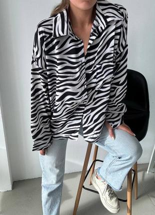 Рубашка зебра