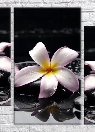 Модульная картина на холсте из 3-х частей "плюмерия"
