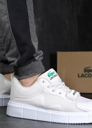 Кросівки lacoste white