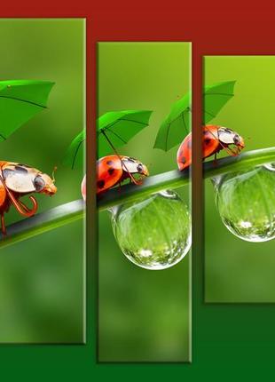 Модульная картина на холсте из 5-ти частей "божьи коровки"