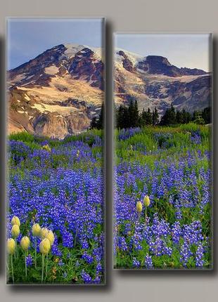 Модульная картина на холсте из 4-х частей "маунт-рейнир"