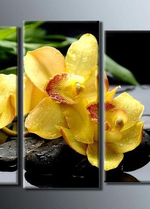 Модульная картина на холсте из 3-х частей "желтые орхидеи"
