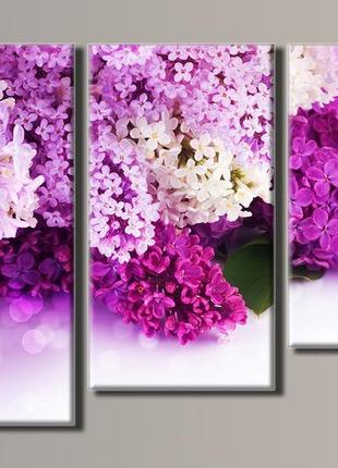 Модульна картина на полотні з 3-х частин "бузок"