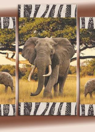 Модульна картина на полотні з 5-ти частин "африканські слони"