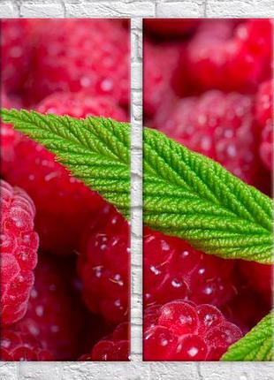 Модульная картина на холсте из 4-х частей "малина"