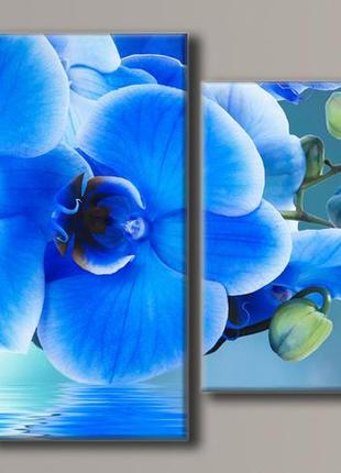 Модульна картина на полотні із 4-х частин "сині орхідеї"
