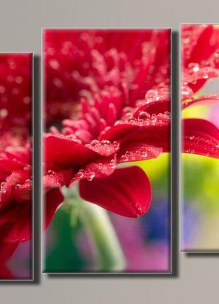 Модульна картина на полотні з 3-х частин "червона гербера"