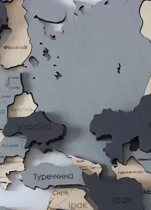Тришарова карта світу в сірих кольорах3 фото