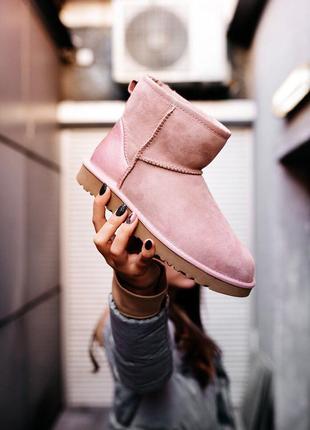 Ugg w classic mini «pink» чоботи жіночі угы