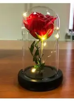 Троянда в колбі з led освітленням, нічник, вічна троянда, 17 см1 фото