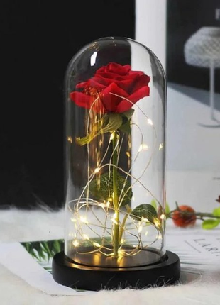 Троянда в колбі з led освітленням, нічник, вічна троянда, 17 см2 фото