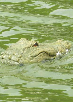 Катер крокодил, р/к плаваюча голова крокодила, іграшка з імітацією голови крокодила flytec v002 2,4g8 фото