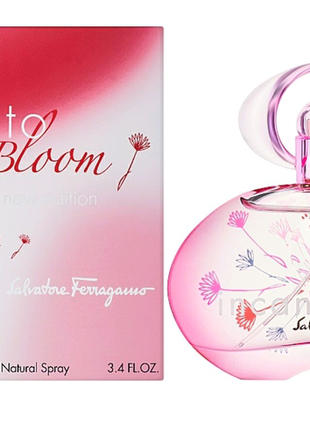 Жіночі парфуми "salvatore ferragamo incanto bloom" 100ml1 фото
