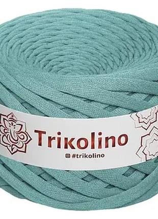 Пряжа трикотажна 7-9 мм "trikolino", 50 м 160 г, колір полин