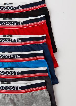 Чоловічі труси боксери - набір в стилі lacoste 3 шт. високої якості6 фото