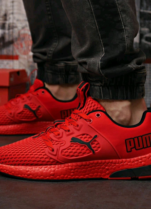 Puma2 фото