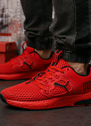 Puma6 фото