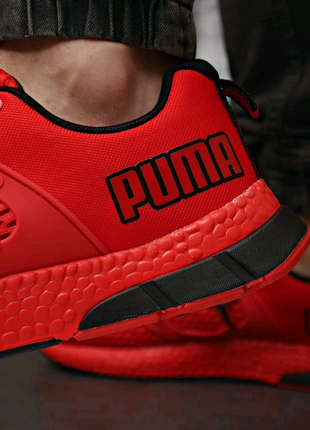 Puma8 фото