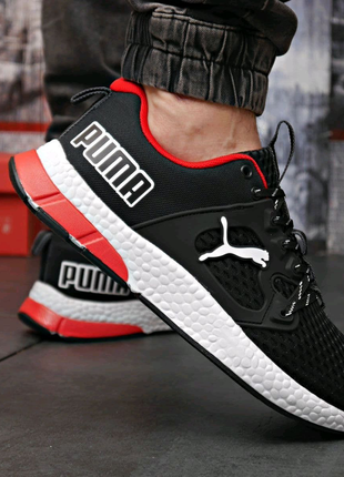 Puma4 фото