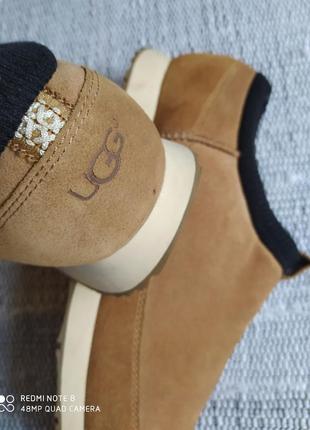 Кросівки ugg3 фото