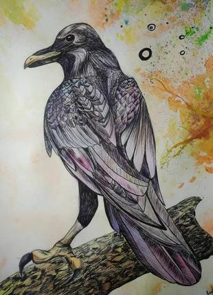 Картина "молодий ворон", 2019 рік