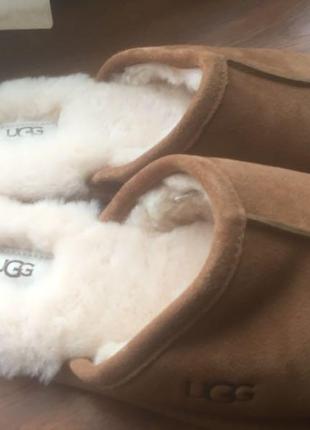 Капці фірми ugg2 фото