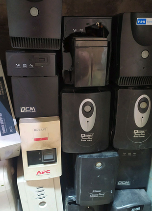 Бесперебойники разнообразные