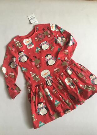 Сукня next 104-110 см (731970407)