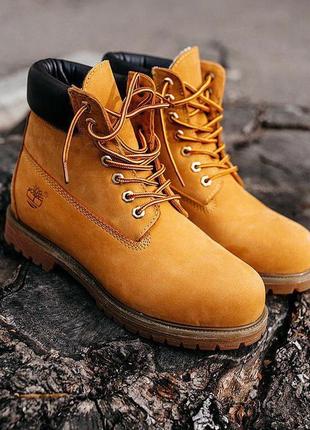 Черевики жіночі тімберленд, timberland ginger brown термо, весна-осінь2 фото