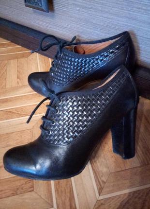 Стильні жіночі туфлі,розмір 361 фото