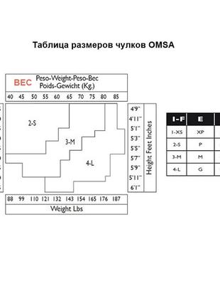 Женские чулки omsa malizia 40 den5 фото