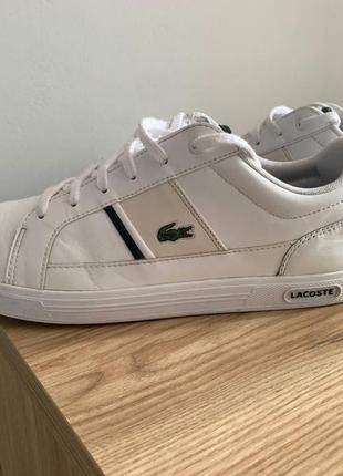 Lacoste europa 0241r5