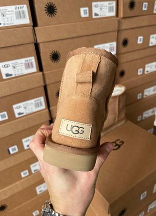 Зимні ugg classic mini chestnut suede3 фото