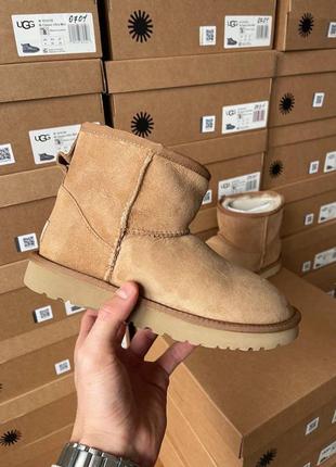 Зимні ugg classic mini chestnut suede5 фото