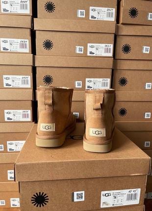 Зимні ugg classic mini chestnut suede8 фото