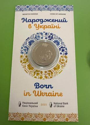 Новинка нбу! народжений в україні. скоропадський .маріупольський5 фото